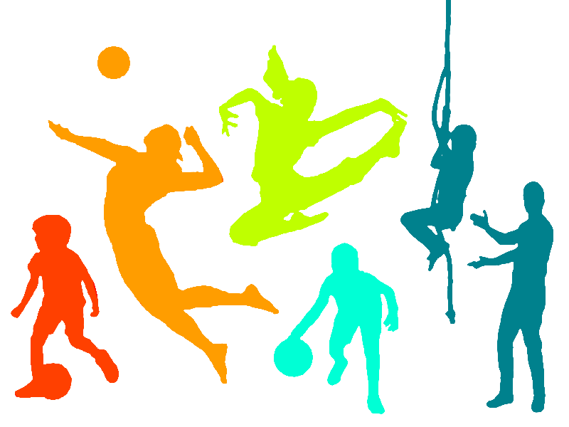 Спорт