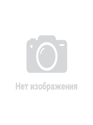 Васянина Светлана Александровна Васянина Светлана Александровна